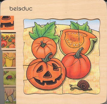 Groeipuzzel Pompoen (4 lagen), Verzenden, Nieuw