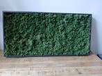 Mos wandschilderij, antraciet lijst, 120 x 60 cm, Ophalen, Nieuw