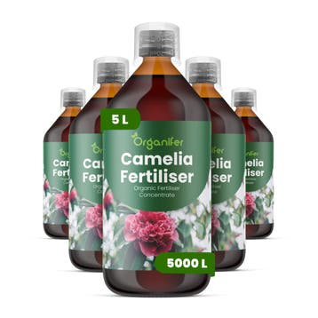 Camellia Vloeibare Meststof - 5x1 liter, Verzenden, Mest