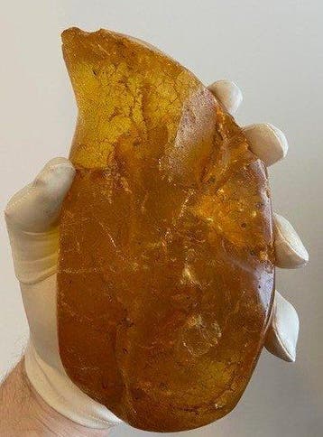 Kopal - Barnsteen - Kopal - 7 cm - 9.5 cm, Antiek en Kunst