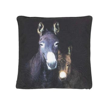 Ezels outdoor kussen 50x50cm, Verzenden, Nieuw