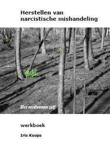 herstellen van narcistische mishandeling - Iris Koops, Boeken, Verzenden, Zo goed als nieuw, Iris Koops