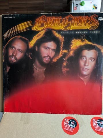 Bee Gees - Spirits Having Flown, Ophalen of Verzenden, Gebruikt