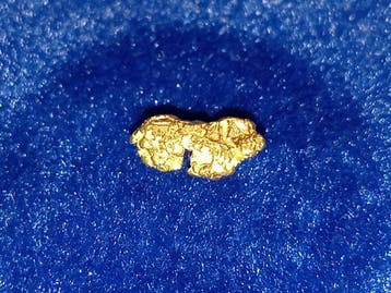 Puur juweel - Gouden nugget - Yukon Goud nugget - Hoogte: