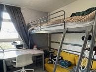 Kamer Jaspisstraat in Groningen, Overige soorten, Groningen