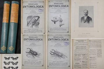 Barthe Eugène - Professeur E. Séguy. - Miscellanea, Antiek en Kunst