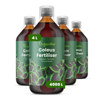 Coleus Vloeibare meststof - 4x1 liter, Verzenden, Mest