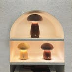 Houten Paddenstoel Nachtlampje Oplaadbaar Touch, Verzenden, Nieuw