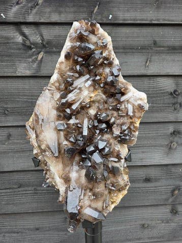 XXL Cluster + 360° Base rookkwarts - Hoogte: 93.5 cm -