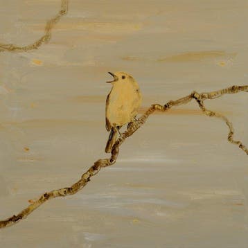 Matthieu van Riel - Yellow Bird
