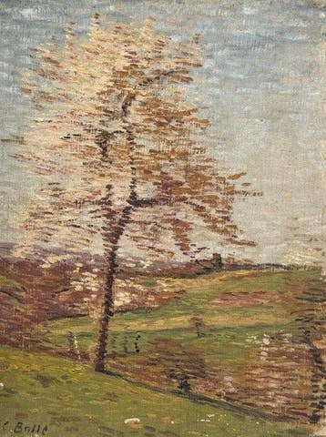 César Alphonse Bolle (1879–1963) - Paesaggio con albero in, Antiek en Kunst, Kunst | Schilderijen | Klassiek