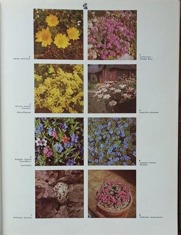2000 TuinKas en Kamerplanten in Kleur - 2000 TuinKas en, Ophalen of Verzenden, Nieuw
