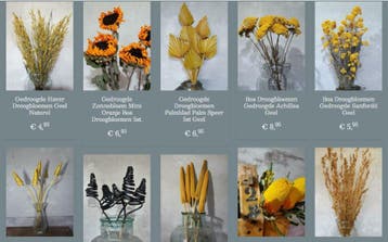 webwinkel droogbloemen kerst workshop sale diy, Ophalen of Verzenden, Nieuw
