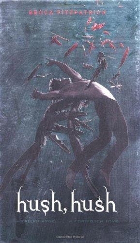 Hush, Hush - Becca Fitzpatrick 9781847386946, Verzenden, Gelezen, Becca Fitzpatrick