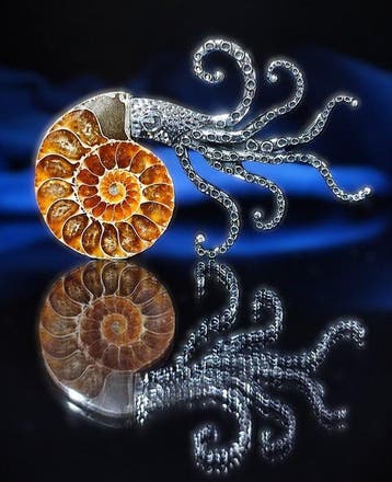 Geen reserveprijs Prachtige ammoniet hanger/broche