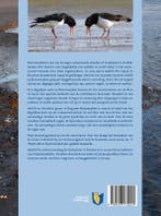 Terug naar Rottumerplaat 9789493170025, Boeken, Verzenden, Gelezen, Nicolette Branderhorst
