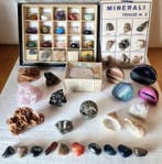 Verzameling mineralen en fossielen (diverse herkomsten)