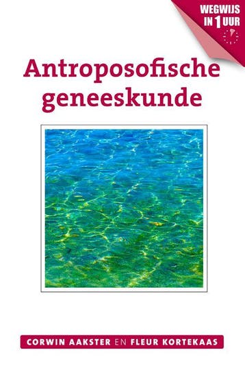 Antroposofische geneeskunde / Geneeswijzen in Nederland / 5, Verzenden, Zo goed als nieuw, Corwin Aakster