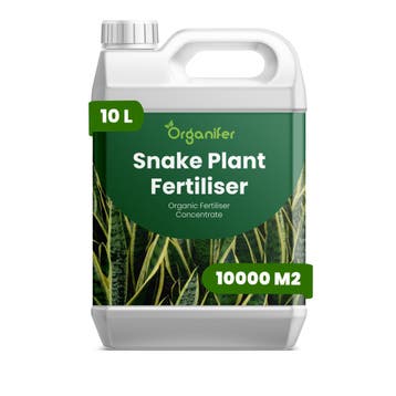 Vloeibare meststof voor sansevieria - 10 liter, Verzenden, Mest
