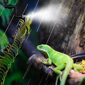 Terrarium Mist Systeem voor Reptielen – Automatische Sproeie, Dieren en Toebehoren, Reptielen en Amfibieën | Toebehoren, Verzenden