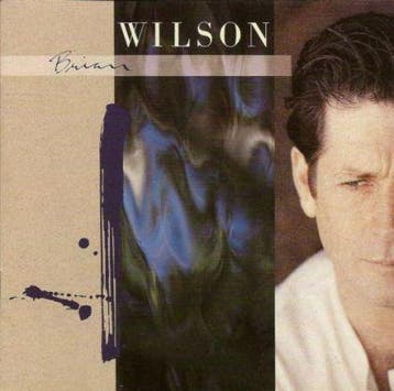 cd - Brian Wilson - Brian Wilson, Verzenden, Zo goed als nieuw
