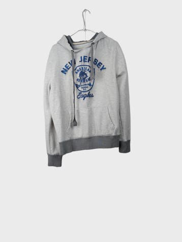 America Today Hoodies Heren maat S Grijs Vintage, Ophalen of Verzenden, Nieuw