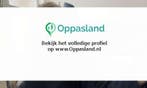 Ik ben Danique, 18 jaar oud en ik zoek oppaswerk in Zwolle., Diensten en Vakmensen, Dieren | Honden | Verzorging, Oppas en Les