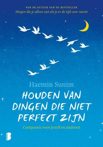 Houden Van Dingen Die Niet Perfect Zijn | Haemin Sunim, Ophalen of Verzenden, Nieuw, Haemin Sunim