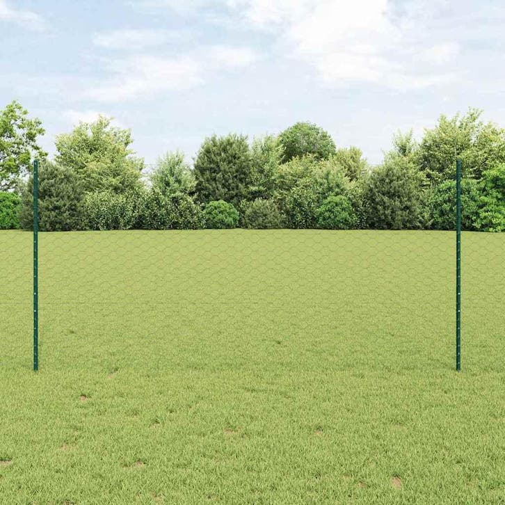 vidaXL Hek met Paal Groen, Tuin en Terras, Schuttingen, Nieuw, IJzer, Verzenden