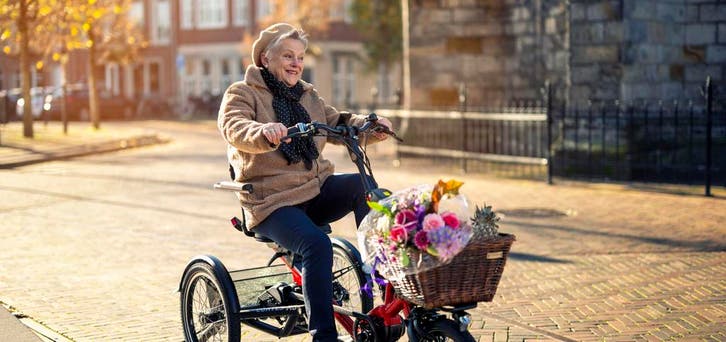 Driewieler Huka Cortes XS | Plan nu jouw gratis proefrit, Fietsen en Brommers, Fietsen | Driewielfietsen, Nieuw