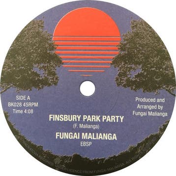 vinyl single 7 inch - Fungai Malianga - Finsbury Park Party, Verzenden, Zo goed als nieuw, 7 inch, R&B en Soul