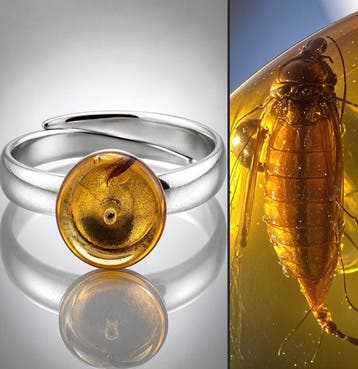 Uitzonderlijke Baltische Amber Ring – Grote