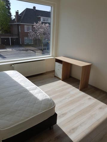 Te huur: Kamer Haaksbergerstraat in Enschede, Huizen en Kamers