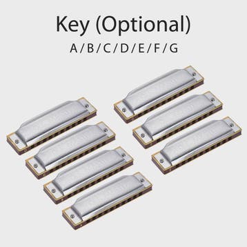 Folkmaster Blues Harmonica - 10 Gaten, 20 Tonen, Diatonisch, Muziek en Instrumenten, Verzenden, Nieuw
