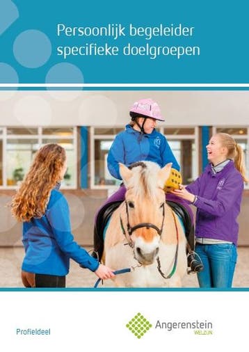 Angerenstein Welzijn   Persoonlijk begeleider  9789037229653, Zo goed als nieuw