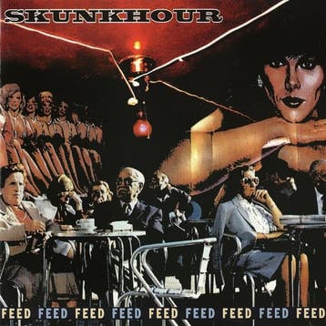 cd - Skunkhour - Feed, Cd's en Dvd's, Verzenden, Zo goed als nieuw