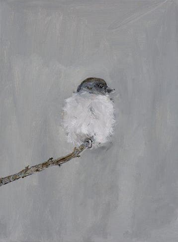 Matthieu van Riel - Bird (Grey)