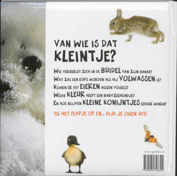 Van wie is dat kleintje? 9789025748692 Stéphane Frattini, Verzenden, Gelezen, Stéphane Frattini