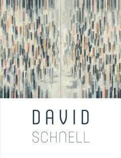 David Schnell - Dominic van der Boogerd 9789462583801, Verzenden, Gelezen, Dominic van der Boogerd
