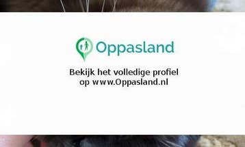Tim zoekt een oppas in Velp voor 2 kinderen voor 5 dagen...