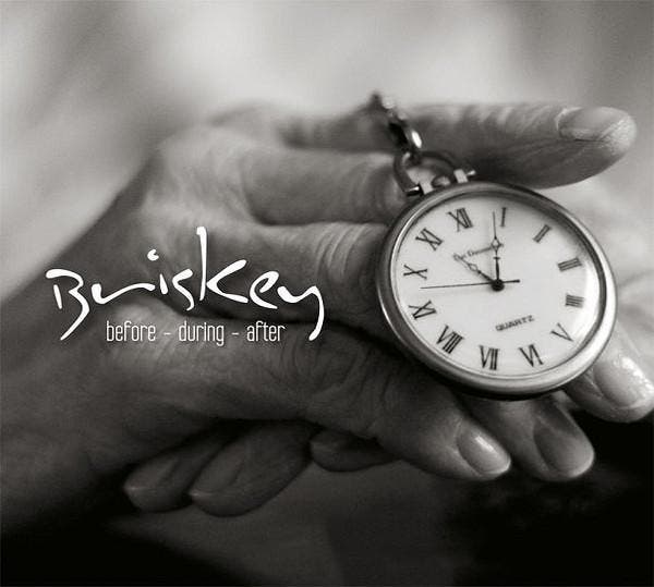 cd digi - Briskey - Before - During - After, Cd's en Dvd's, Cd's | Overige Cd's, Zo goed als nieuw, Verzenden