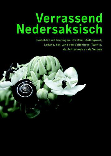 Verrassend Nedersaksisch 9789077487952, Verzenden, Gelezen