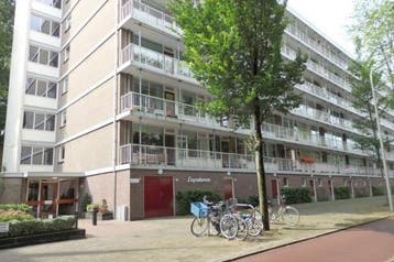 Te Huur 4 Kamer Appartement Volendamlaan In Den Haag, Den Haag, Den Haag, Direct bij eigenaar, Appartement