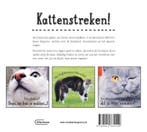 Kattenstreken 9789022335529, Verzenden, Gelezen