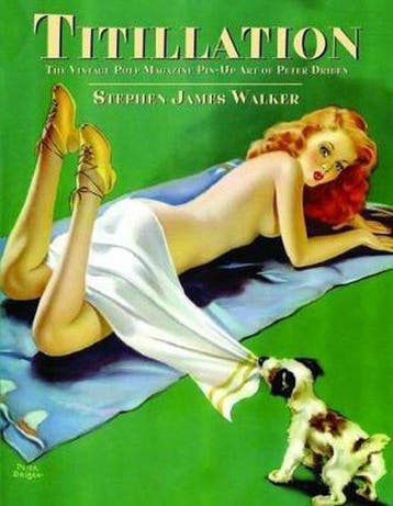 9781845831196 Titillation - The Vintage Pulp Magazine Pin..., Verzenden, Nieuw, Stephen James Walker