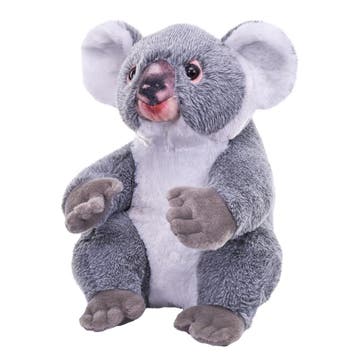 Wild Republic koala knuffel - pluche - 30 cm - Australisch, Verzenden, Nieuw