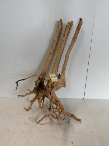 Boutique Stump Selected BS292 - 71x50x26cm (Natuurlijk hout), Ophalen of Verzenden, Nieuw, Plant(en), Steen of Hout