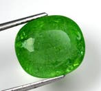 Paraiba toermalijn - 10.72 ct - Gemological Institute of, Nieuw