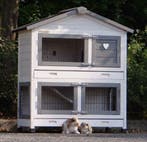 Konijnenhok Excellent Anti-knaag mooi en gebruiksvriendelijk, Ophalen of Verzenden, Nieuw, Hok, Cavia