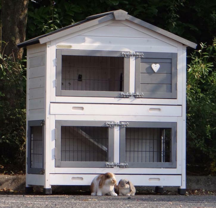 Konijnenhok Excellent Anti-knaag mooi en gebruiksvriendelijk, Dieren en Toebehoren, Knaagdieren en Konijnen | Hokken en Kooien